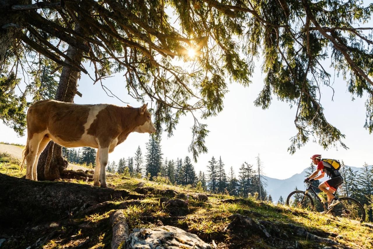 Pension Bergblick Ruhpolding Exteriér fotografie