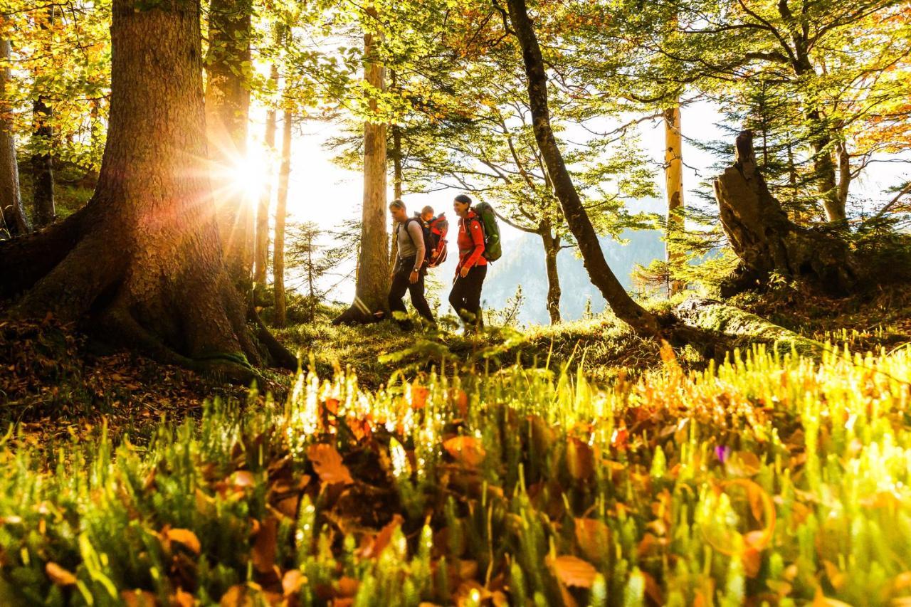 Pension Bergblick Ruhpolding Exteriér fotografie